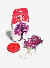 Load image into Gallery viewer, Crystal Growing Cherry Tree
