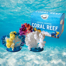 Load image into Gallery viewer, Crystal Growing Coral Reef

