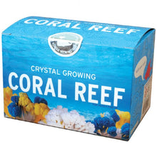 Load image into Gallery viewer, Crystal Growing Coral Reef
