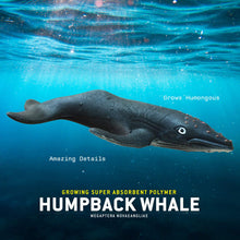 Load image into Gallery viewer, Swell Polymer - Humpback Whale
