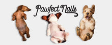 Load image into Gallery viewer, DOG NAIL FILES
