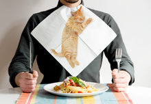 Load image into Gallery viewer, CAT NAPKINS
