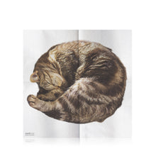 Load image into Gallery viewer, CAT NAPKINS
