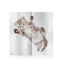 Load image into Gallery viewer, CAT NAPKINS
