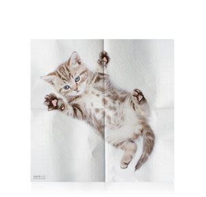 CAT NAPKINS