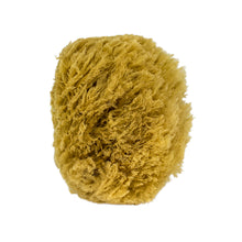 Load image into Gallery viewer, Urban Spa - The all-natural sea sponge
